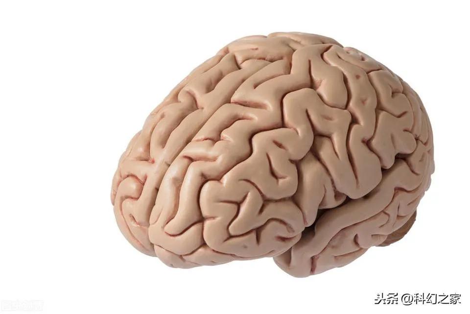 Brain memory is fundamentally different from computerstored memory iNEWS