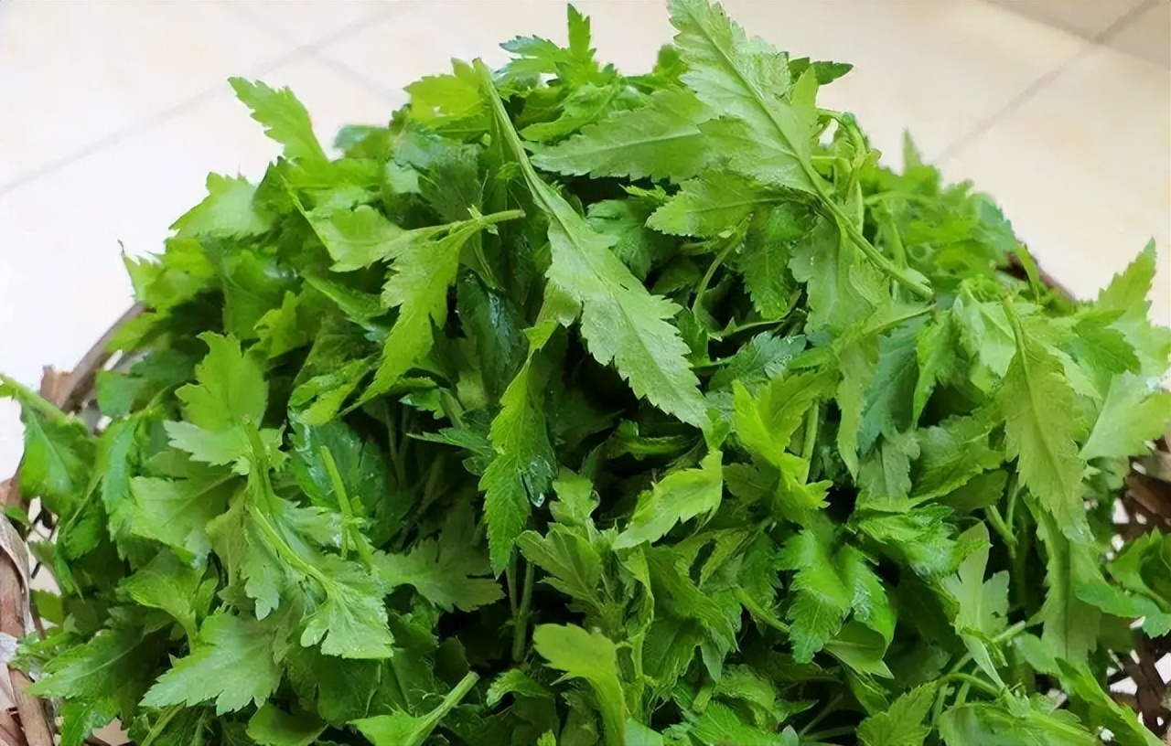 These 5 kinds of green leafy vegetables have a higher calcium content