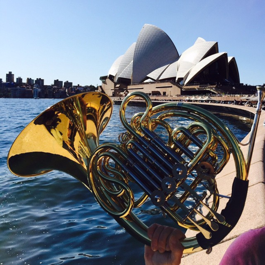 A Comparative Study of the French French Horn and the Chinese Suona