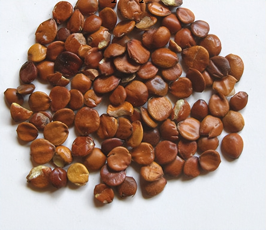 Traditional Chinese medicine sleep aid pillow, simple and easy to make, friends with insomnia