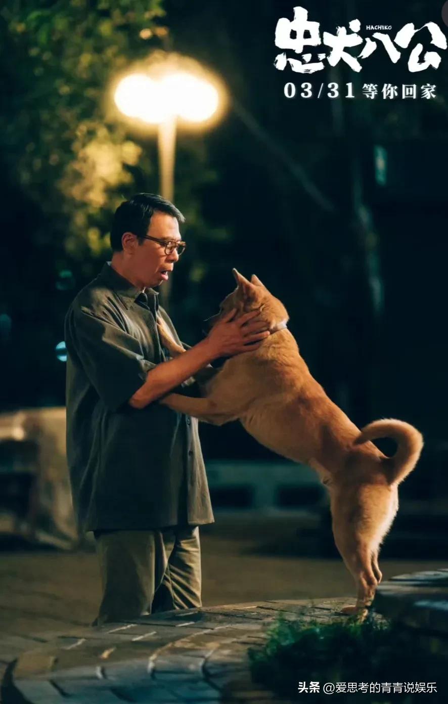 I cried so hard in "Hachiko" that made me cry. There is always life