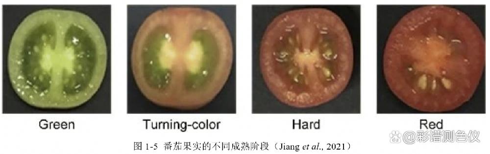 Study on the ripeness of tomato fruit by hyperspectral imaging system ...