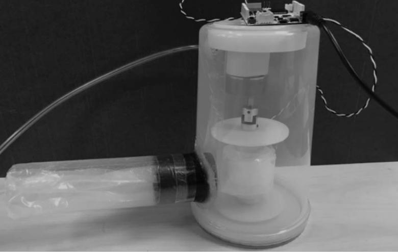 Vines are good for nothing? The bionic robot developed based on vines ...
