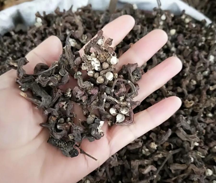 It grows by the stream and is called "Wanzi Pear". It was once