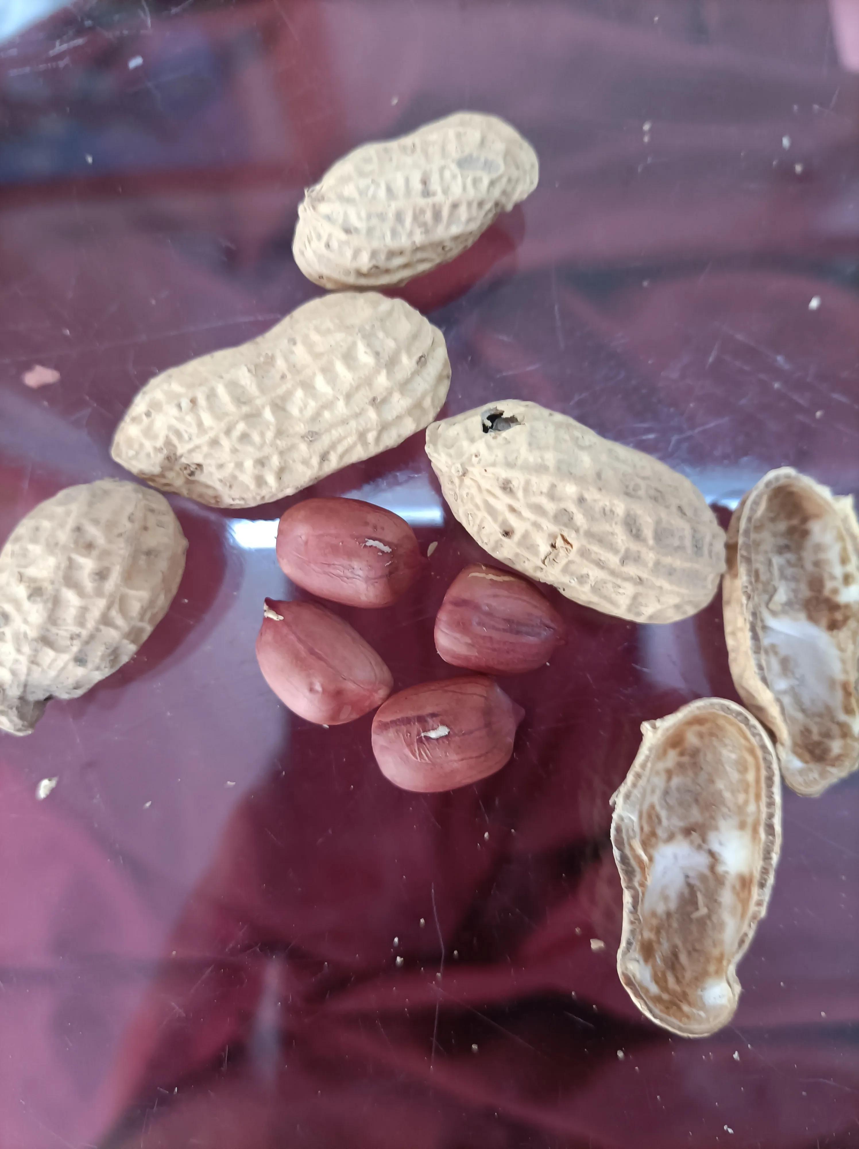 Peanuts, it's good to eat like this! iMedia