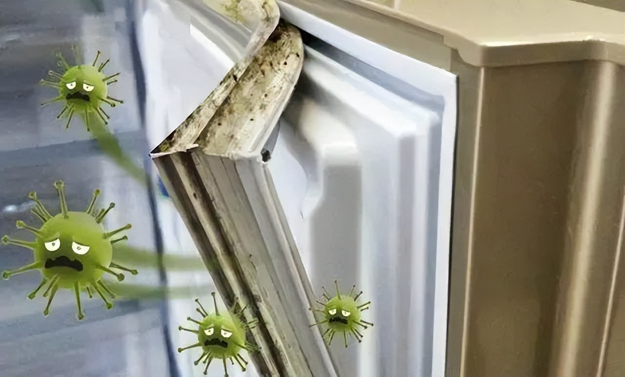 Refrigerator seal is moldy and still wiped with alcohol?wrong!Teach you