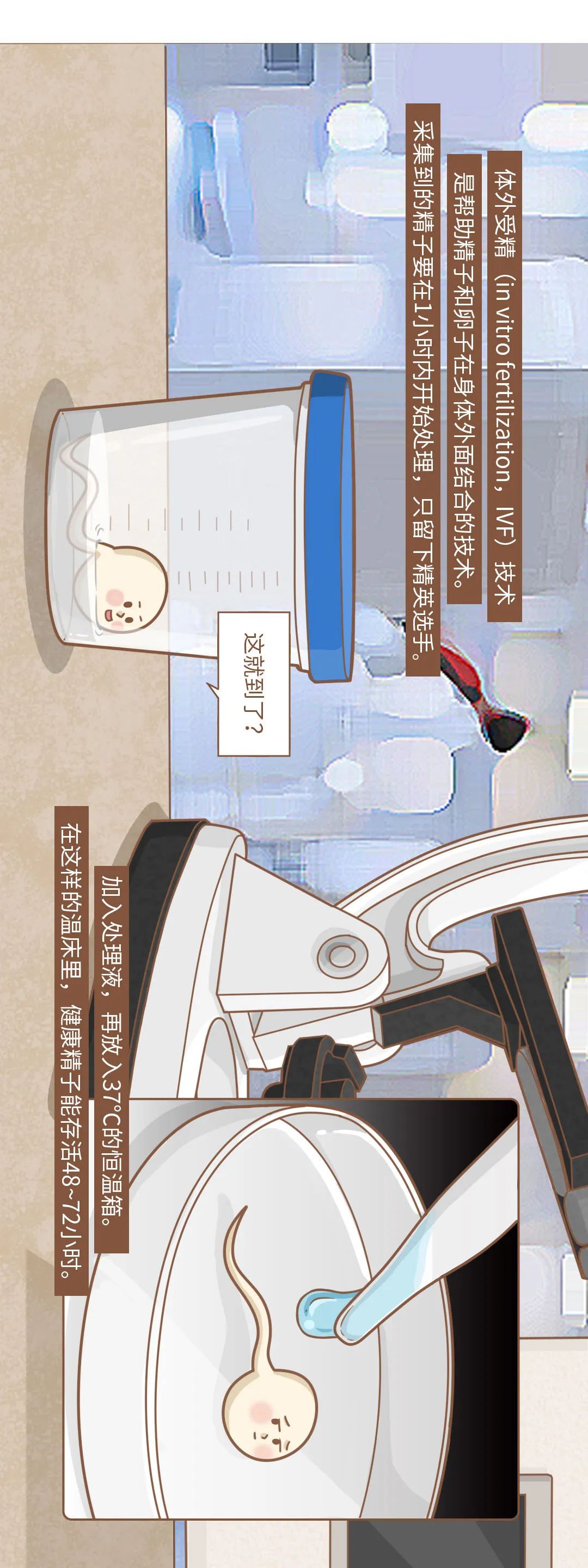 How long can sperm survive outside the body? iNEWS