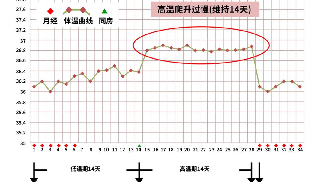 Can sperm survive outside the body? How long can you live? How long can