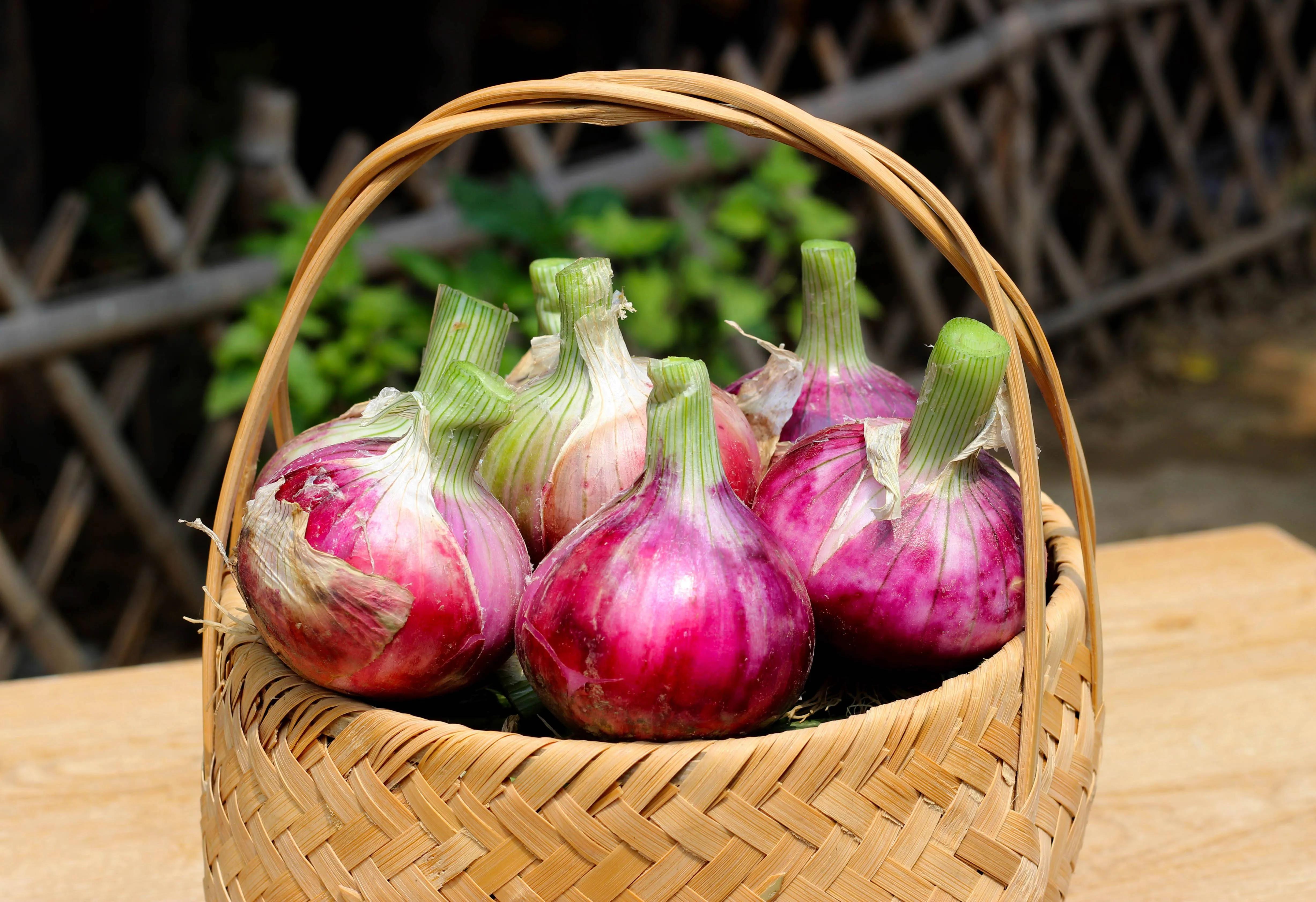 Did you know onions have such an important role! iNEWS