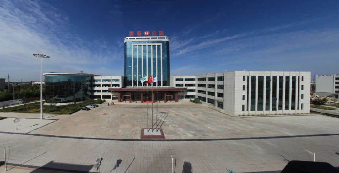 惠发食品（603536）深度财务分析报告：四年累亏超3.5亿元