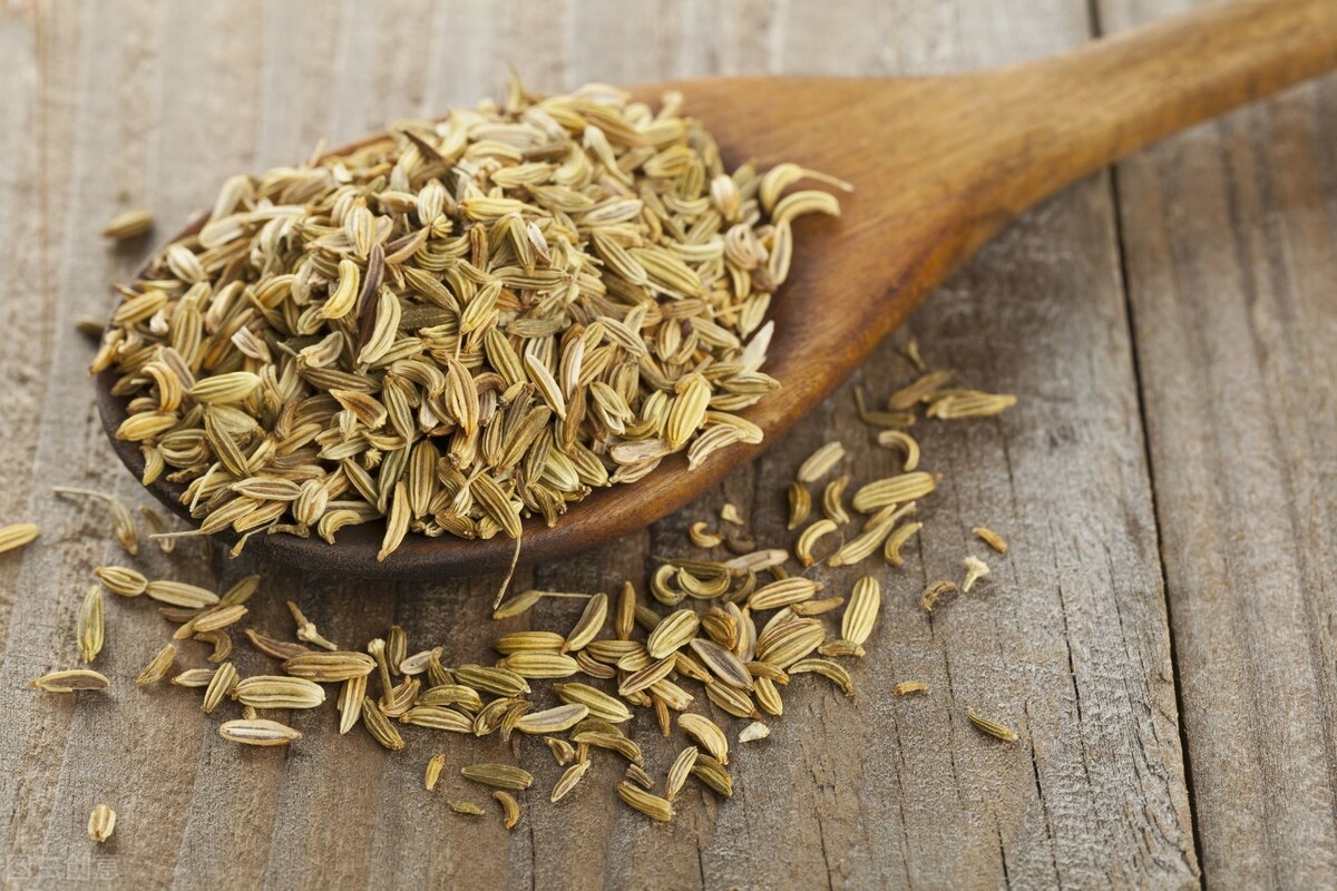 Characteristics of spice characteristics of cumin iNEWS