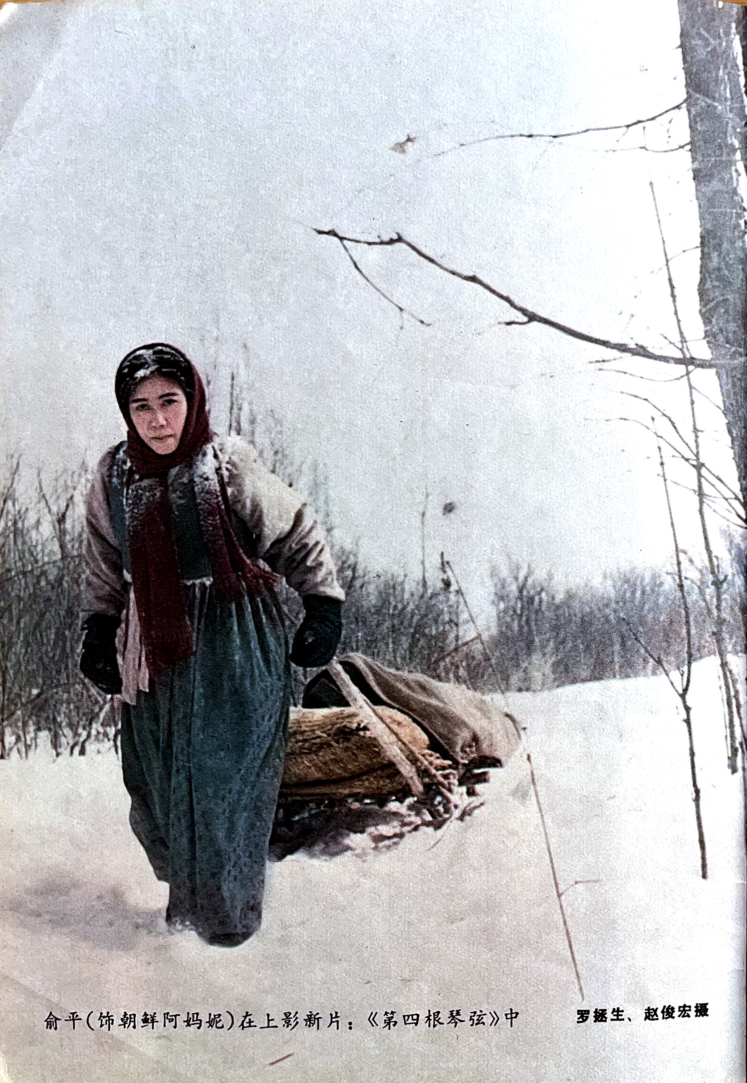 1981 No. 8 "Film Story" cover - Fang Shu in "Young Friends" - iNEWS