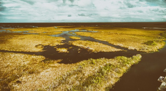 Popular Science: How Swamps Are Formed! - iNEWS
