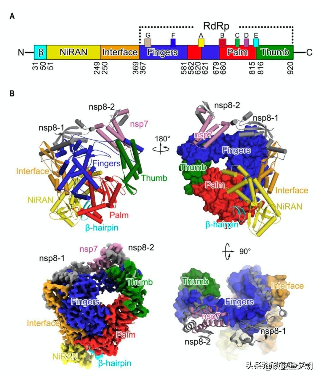 How complex is the dynamic change of RNA structure? - iMedia