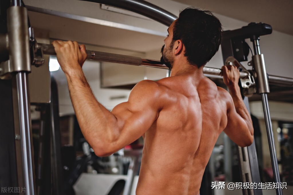Pull-Ups: The Complete Guide from Beginner to Master - iMedia