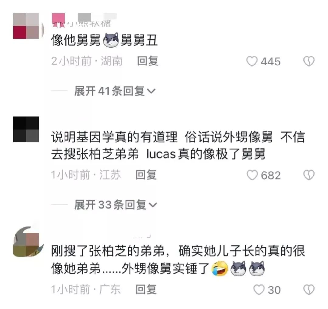 Cecilia Cheung went skiing in Japan on Valentine's Day, by her three sons, and the