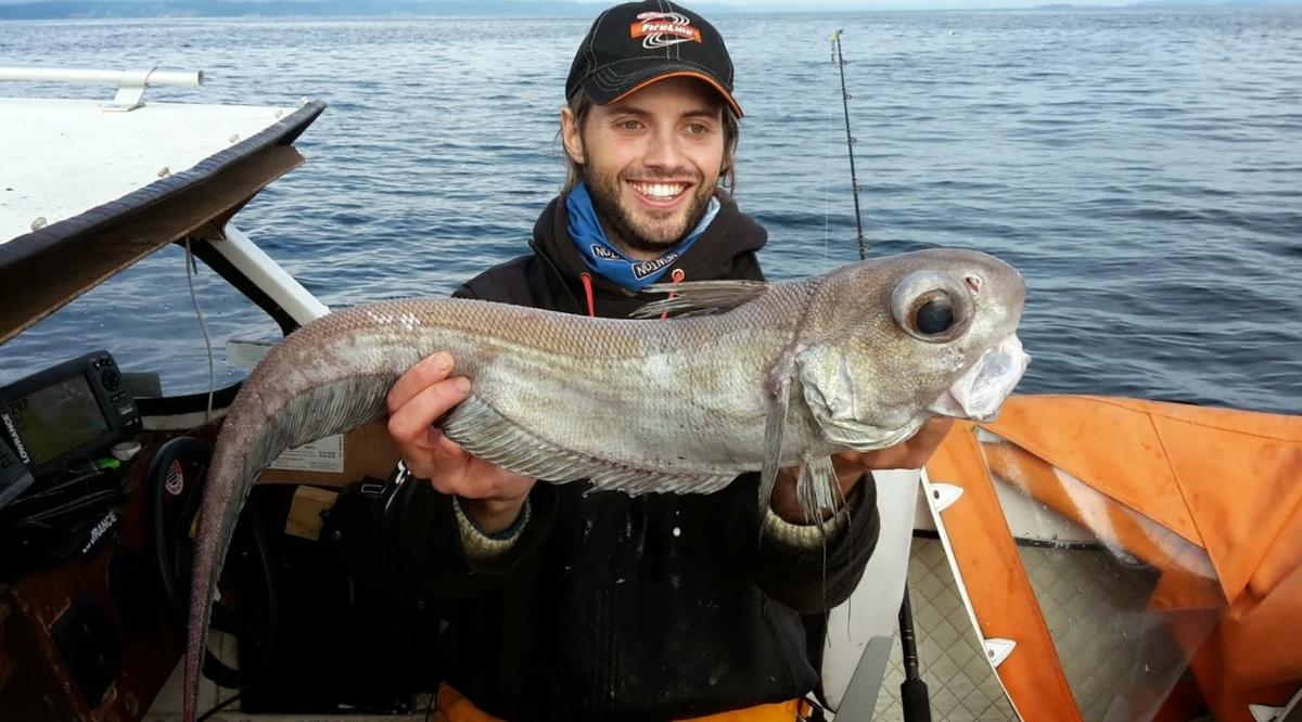 31 photos of rare creatures sharks and eels eat pufferfish and get