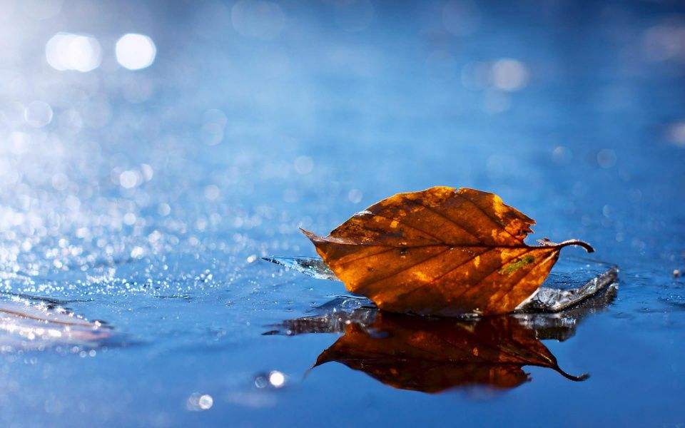秋雨图片大全唯美图片