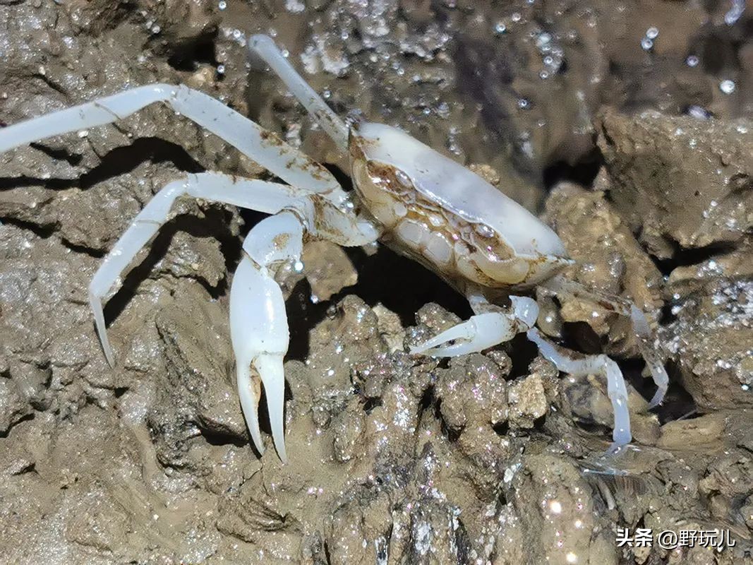 Cave exploration from movie to reality: not scary, but fun - iNEWS
