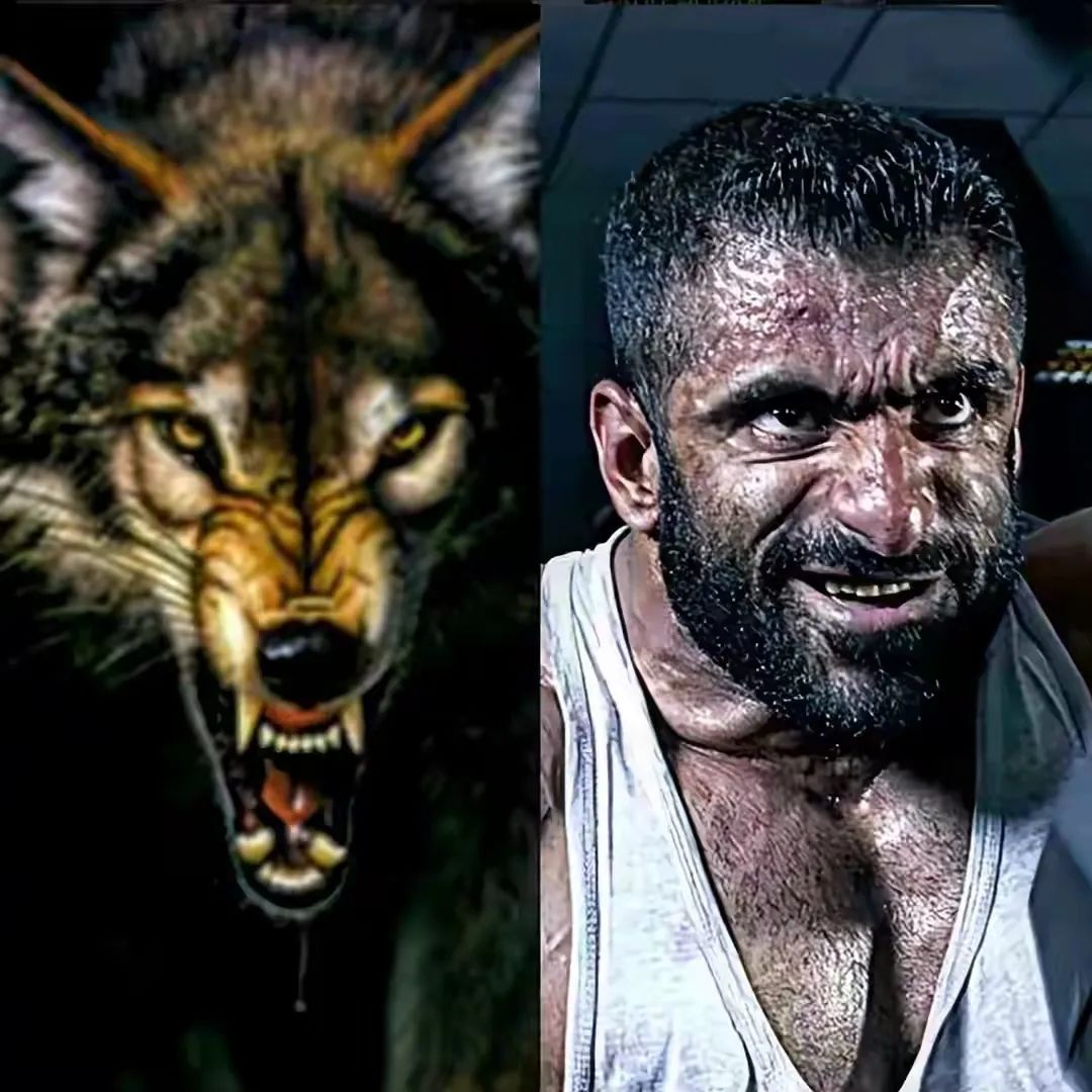 Iran's first Mr. Olympia!"Persian Wolf" Hardy Jopin's Shoulder Training