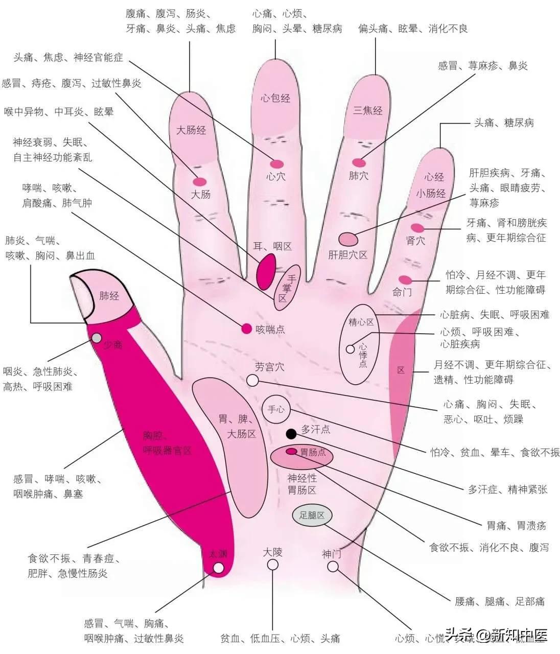 Short Hand Map Human body holographic reflection area hand diagnosis map + hand ...