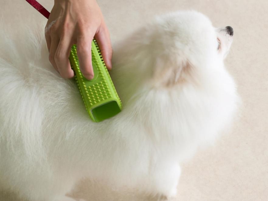 Why is there so much fluff after cleaning every day?After reading this you will know iNEWS