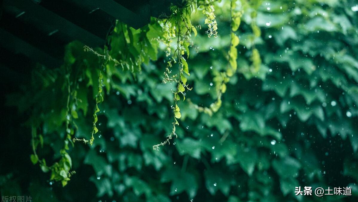 Endless Topics──Impressions from Mr. Guanghui's "Selling Life" iNEWS