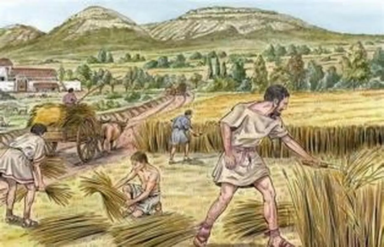Poor Rural Life For Ancient Rome How did people farm in Rome, and what did they do when men were not ...