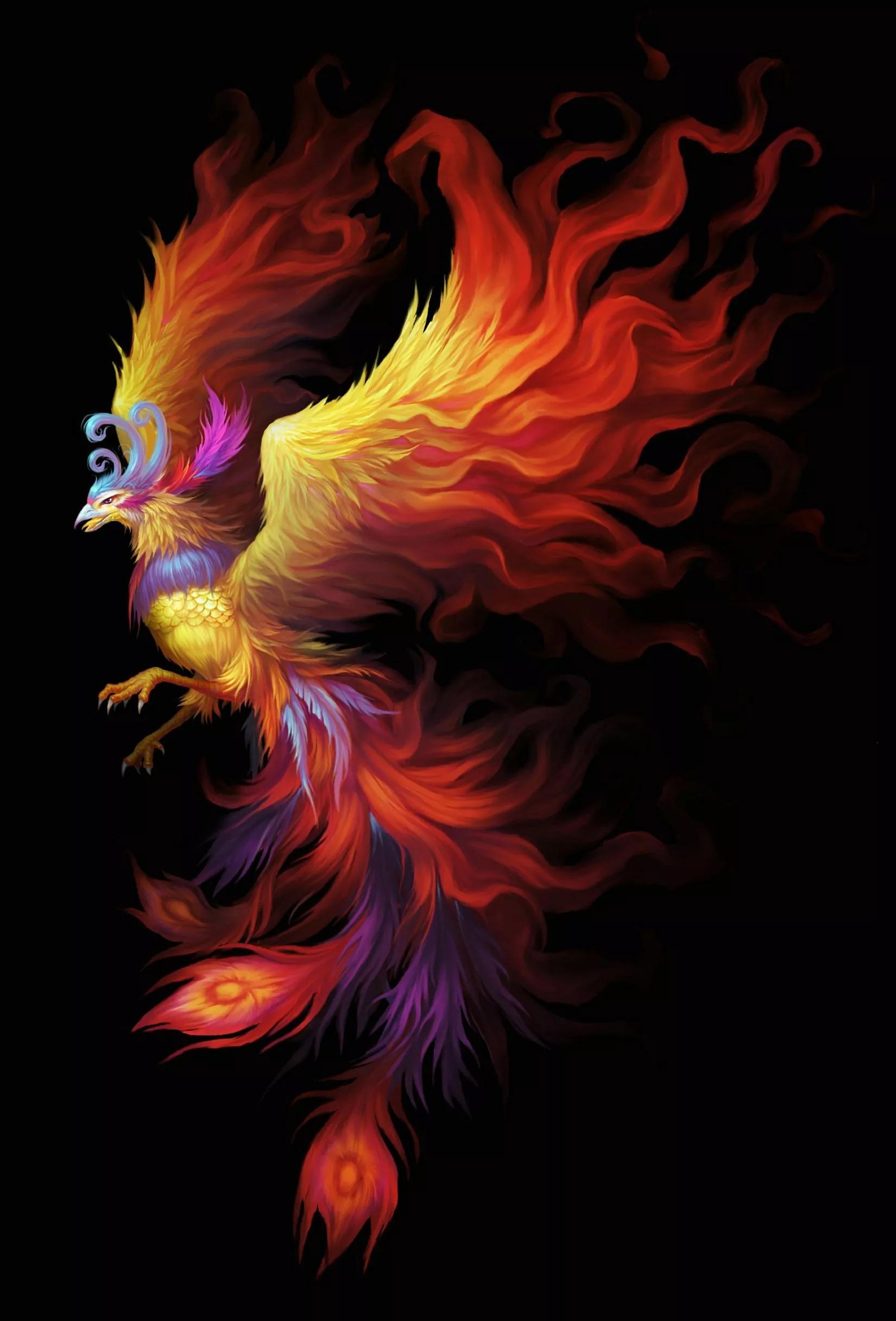 Rebirth from ashes, auspicious phoenix picture appreciation - iMedia