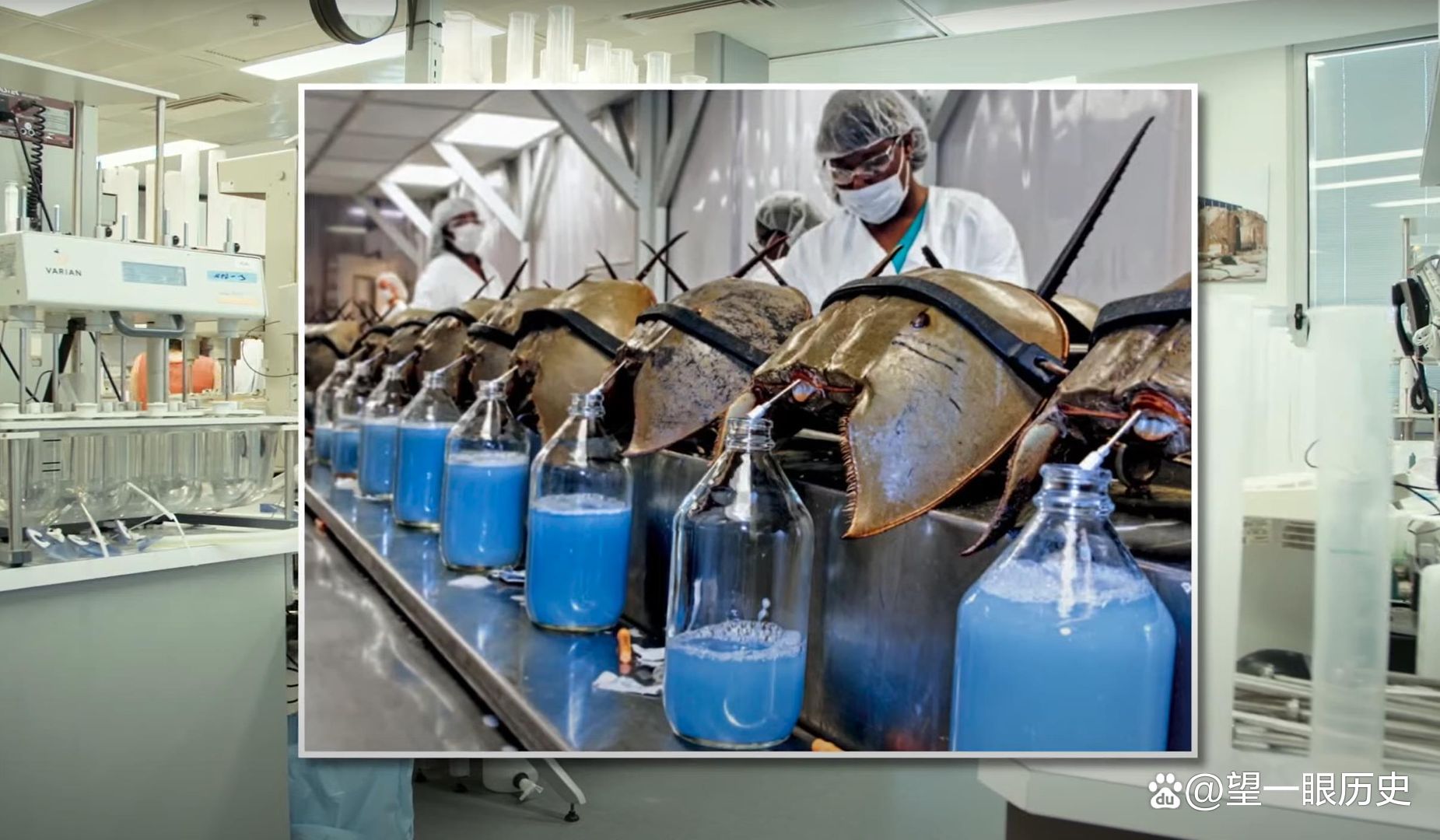 The most expensive fluid in the world, how much is it worth per liter