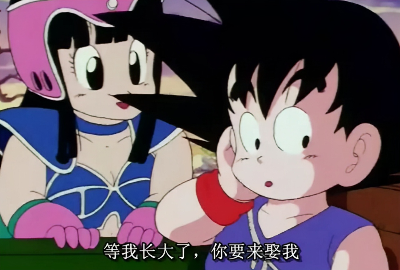 Dragon Ball Super: Why does Kiki always scold Goku, but Bulma never scolds  Vegeta? - iNEWS