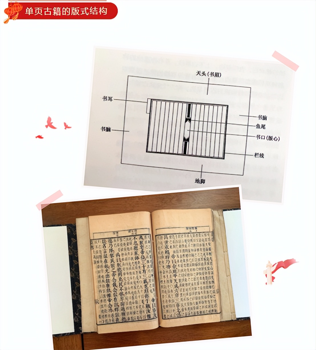 Exploring the knowledge of ancient books the beauty of pictures iNEWS