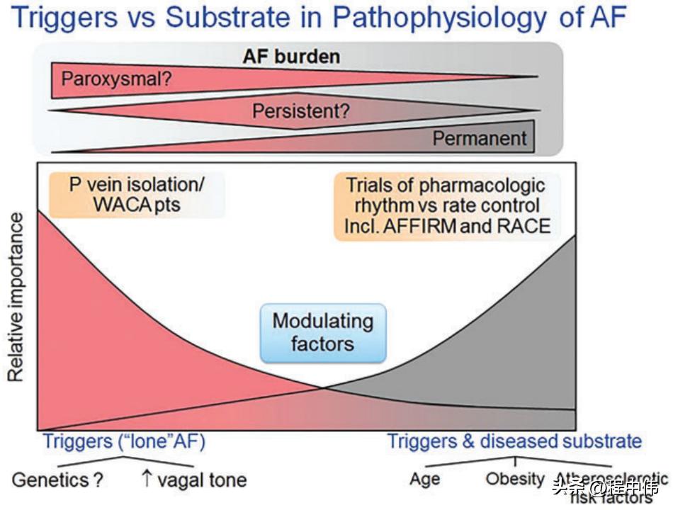Risk stratification of stroke in atrial fibrillation - iNEWS