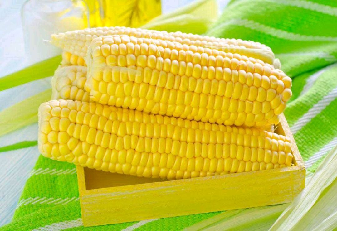Can diabetics use cornmeal instead of corn?I hope you figure it out