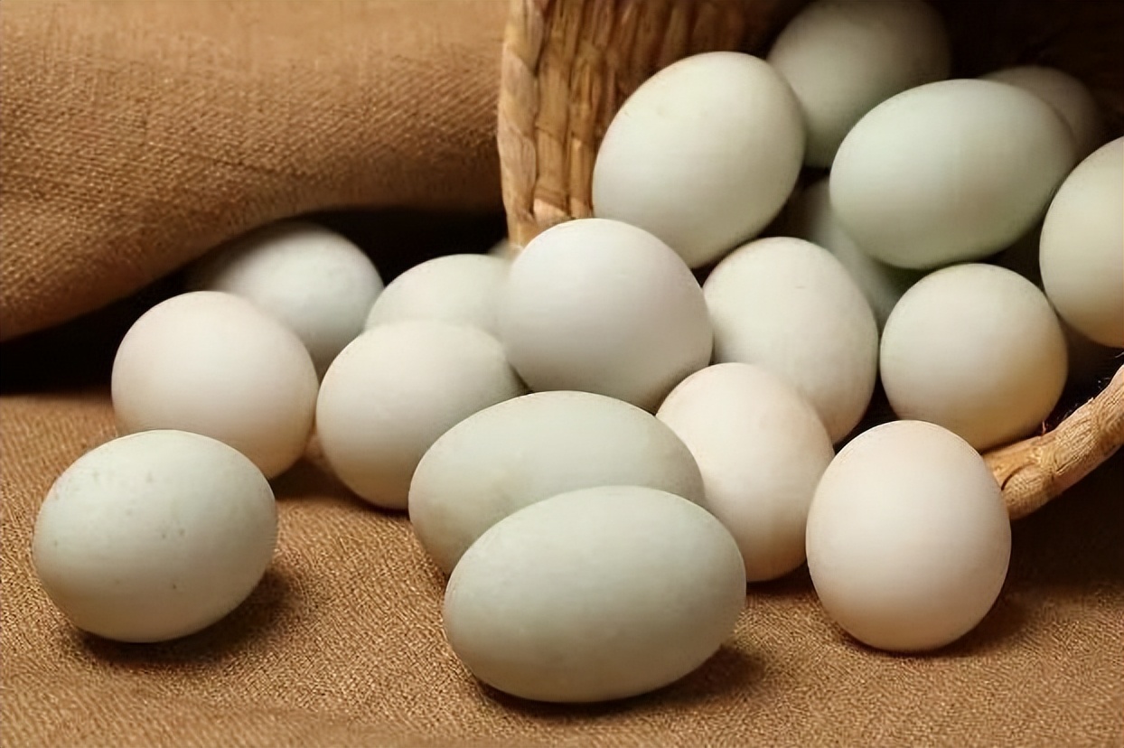 Eggs, duck eggs, quail eggs, which eggs are more nutritious?Reminder these two kinds of eggs