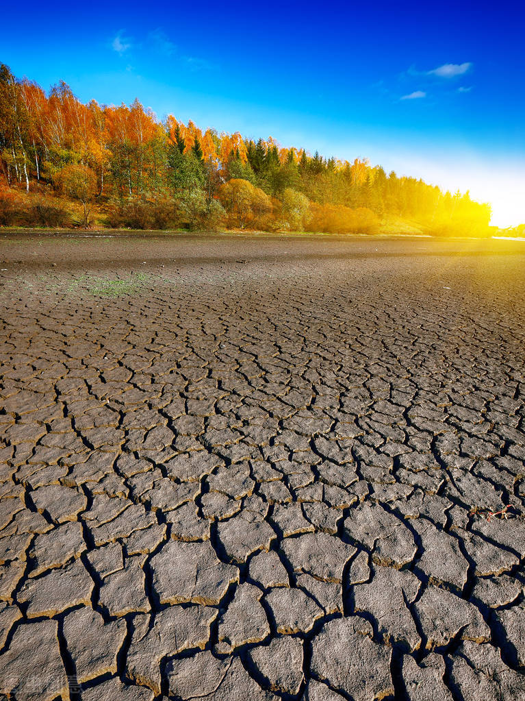 Dry cough with little phlegm, dry mouth?Is it autumn dryness?Reference 5 Chinese patent