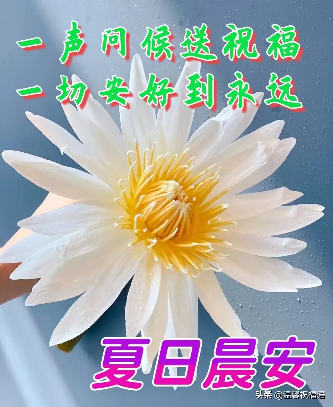 天气炎热,注意防暑,多照顾!早上好!2. 人间情,本是缘分.