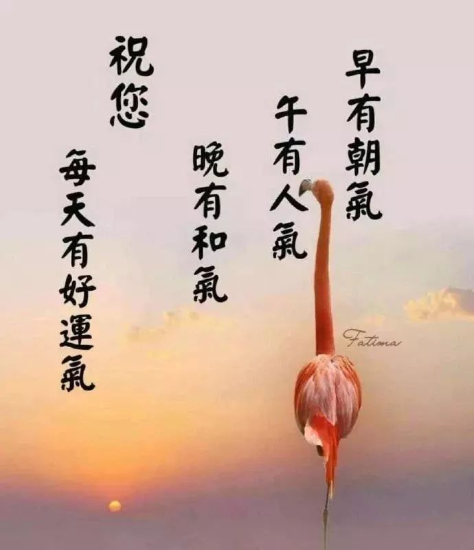 祝福马云的句子简短