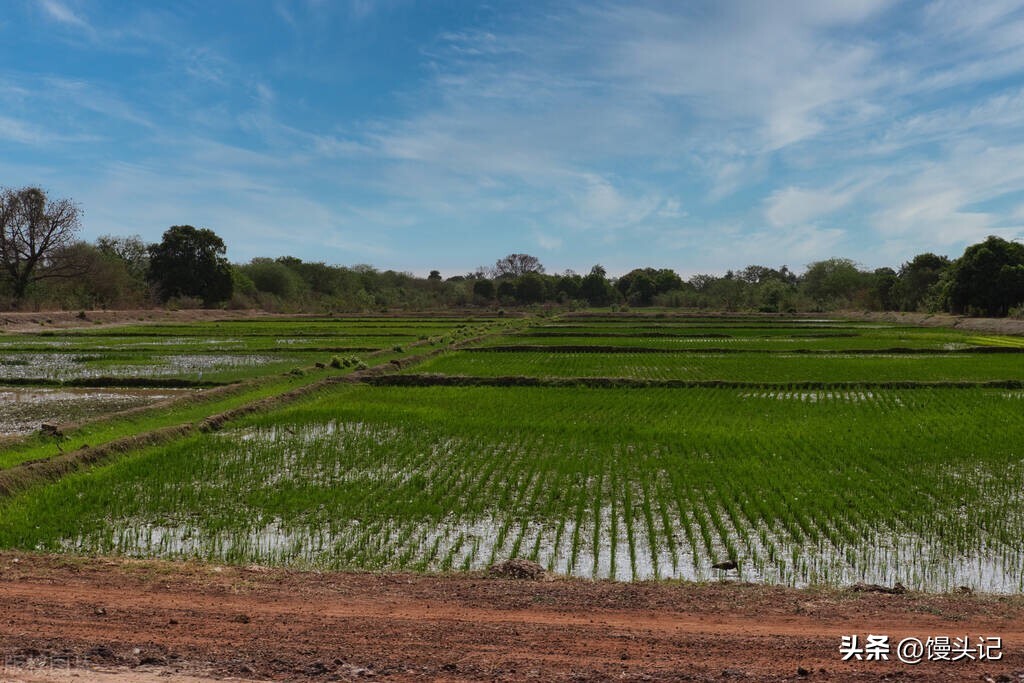 Gambia, a vibrant tourist destination - iNEWS
