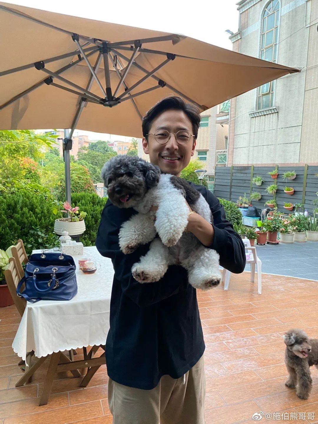 What is the origin of the wealthy Shi family that Wu Qianyu is going to ...