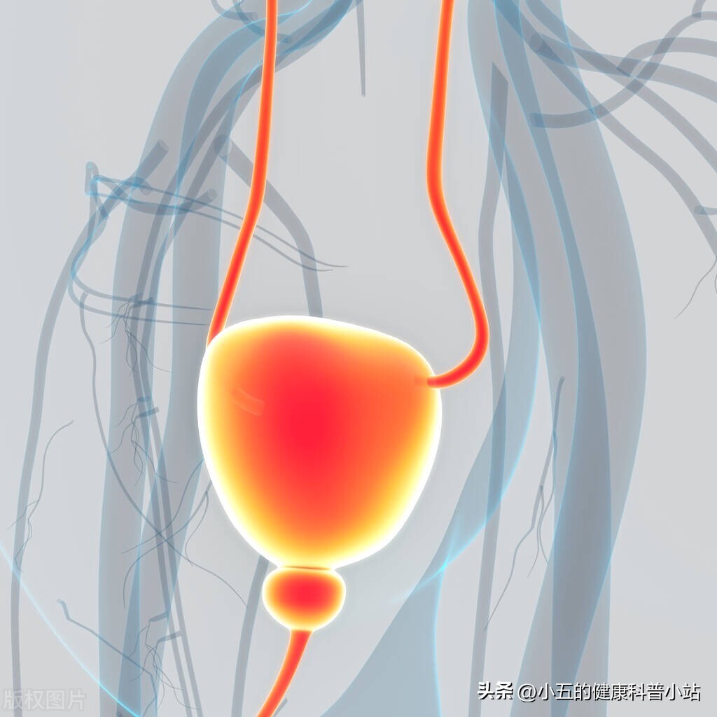 What should I do if the elderly have increased nocturia?Take 4 kinds of