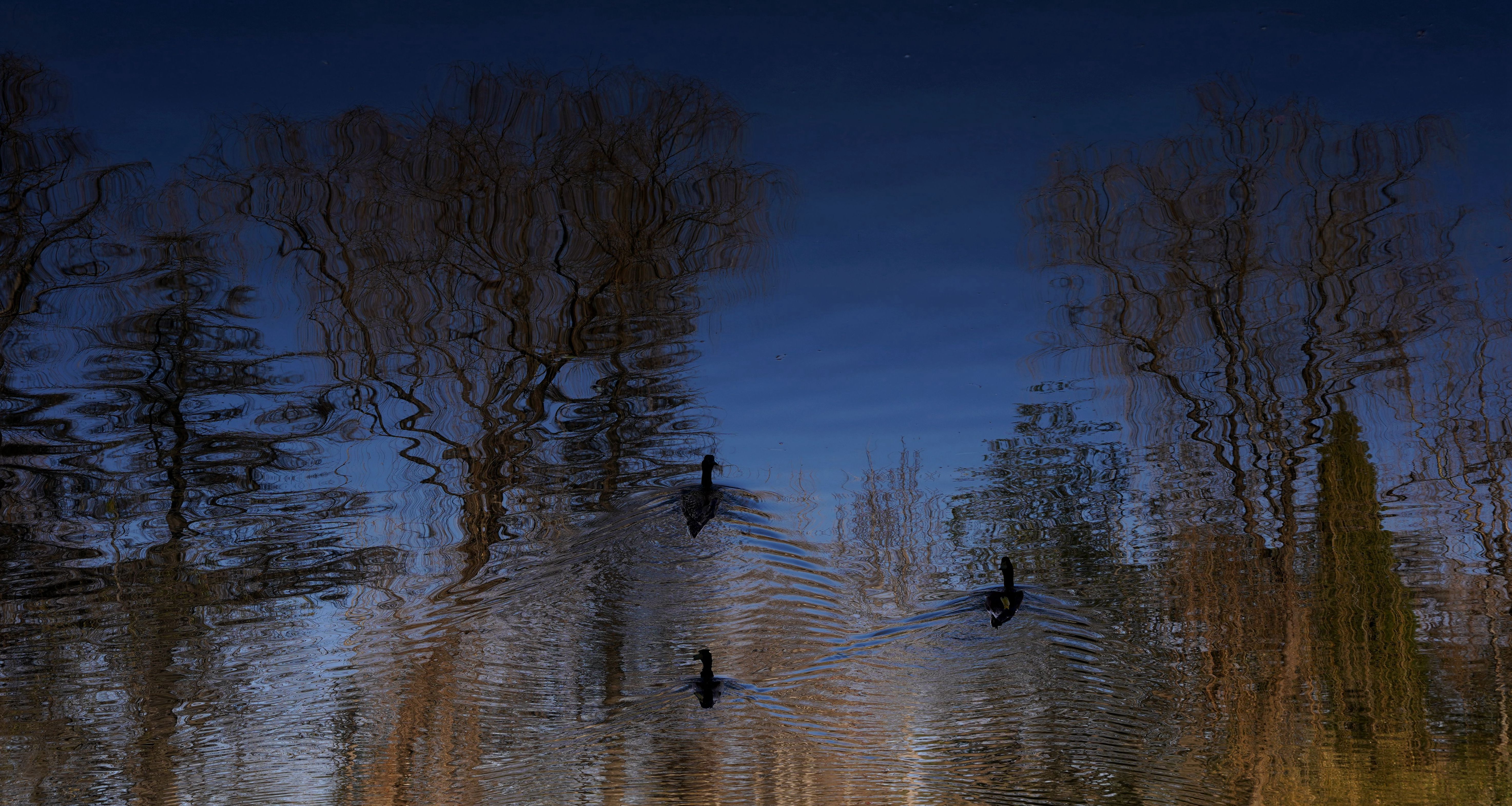 The beauty of reflection - iNEWS
