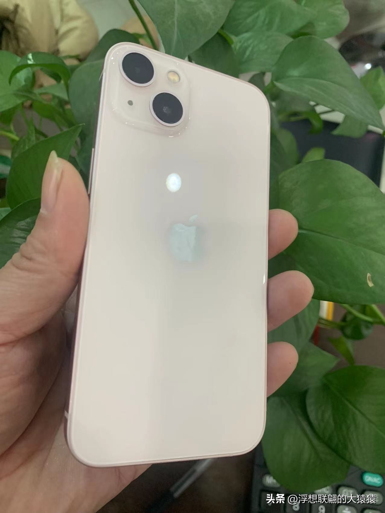 My iPhone 7P suddenly goes black iNEWS