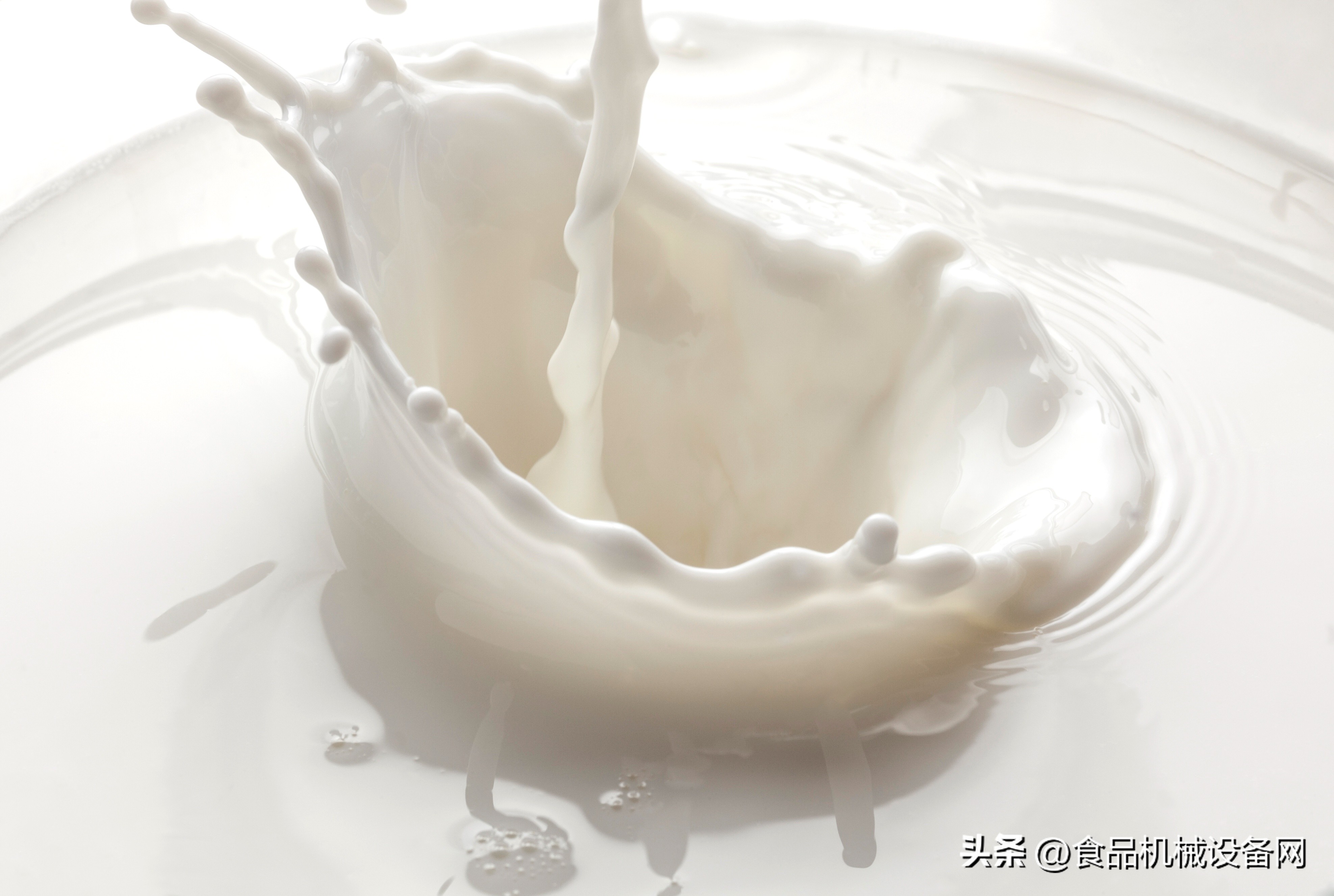 Why did Xinjiang milk explode, and what should companies with frozen