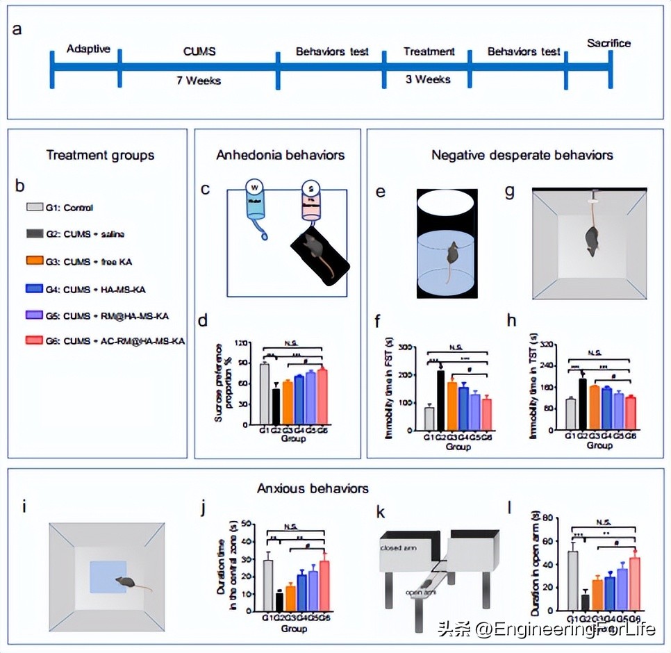 A multifunctional nanocarrier system for efficient targeted drug ...