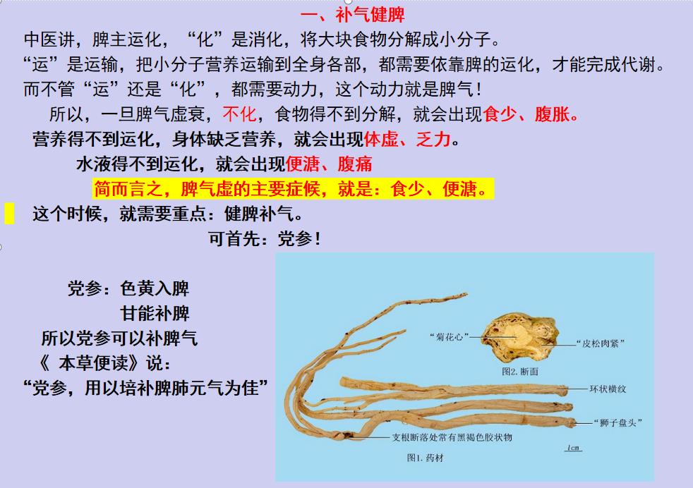In summer, when it is time to strengthen the spleen and remove dampness, there are 5 methods of