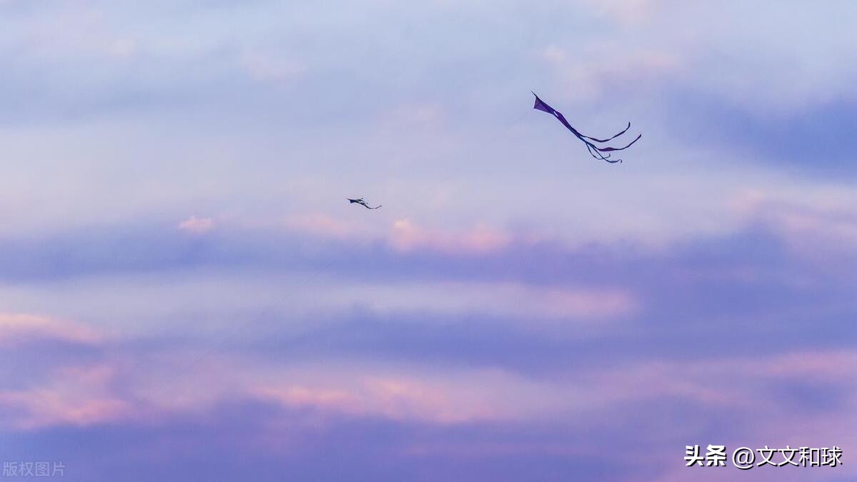 The Kite Runner A Touching Story of Friendship, Betrayal, and