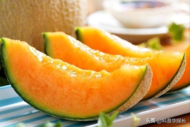 how-outrageous-can-expensive-fruit-be-a-melon-costs-40-000-us-dollars