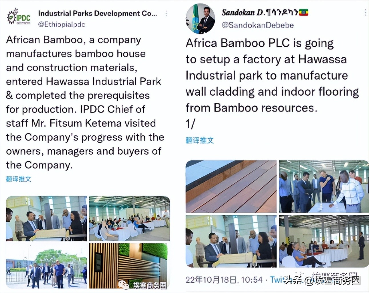 Bamboo industry foreign investment project plans to settle in Hawassa