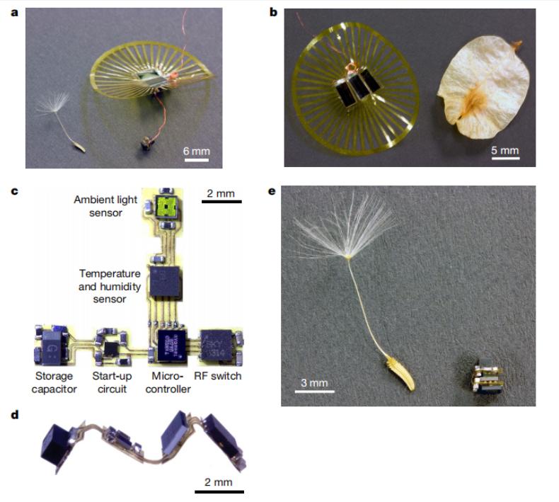 Nature Inspired by dandelions, scientists develop tiny wireless